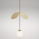 Areti - Plant